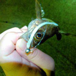 尺バーサーの巻